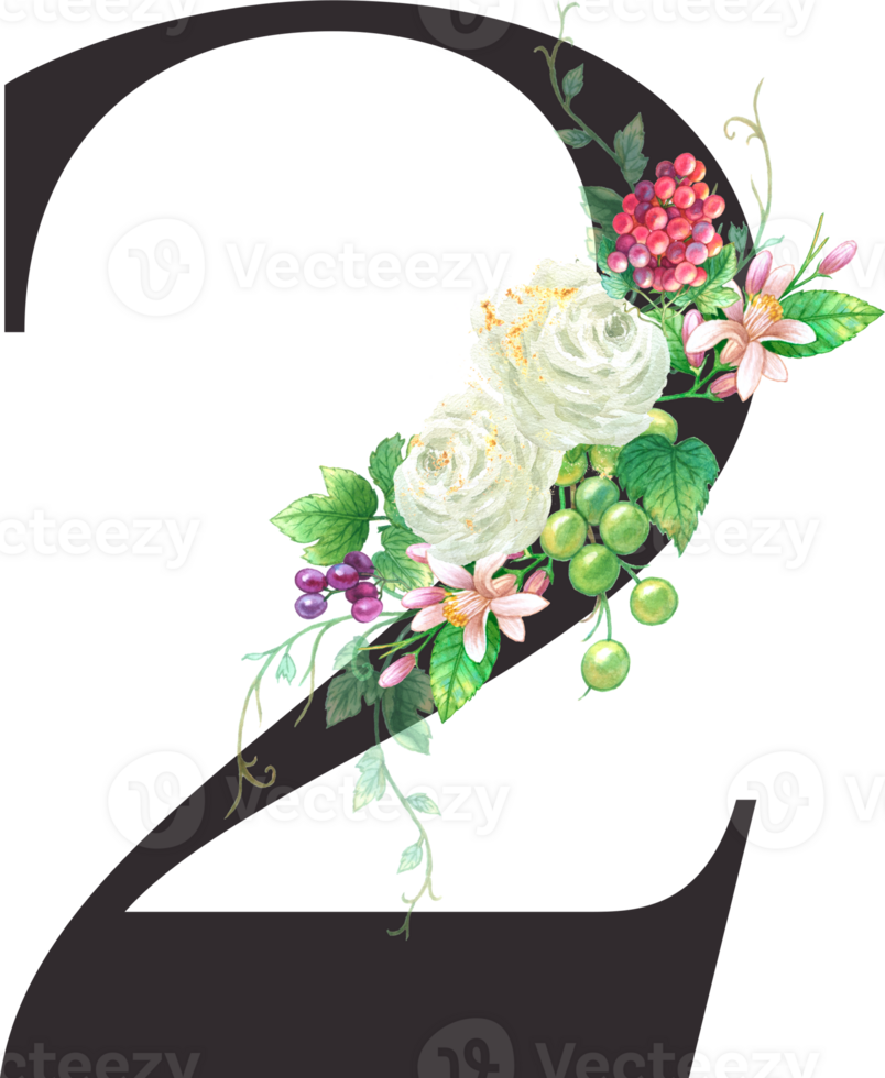 Alphabet and numbers Grape fruit watercolor, Wedding flower letter png
