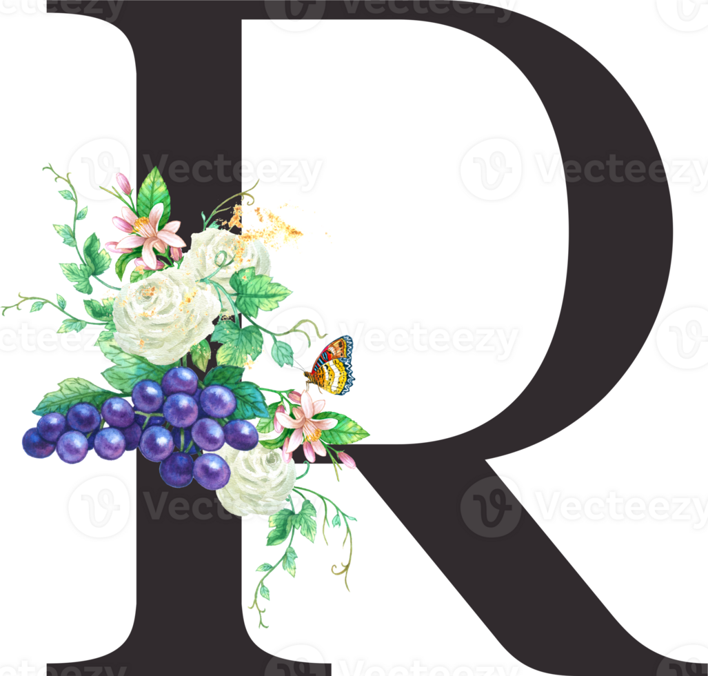 Alphabet and numbers Grape fruit watercolor, Wedding flower letter png