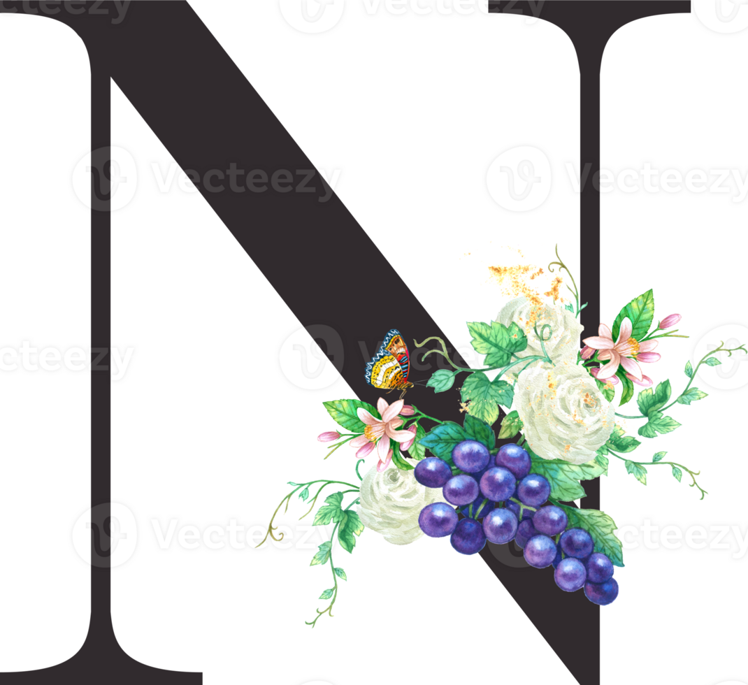 Alphabet and numbers Grape fruit watercolor, Wedding flower letter png