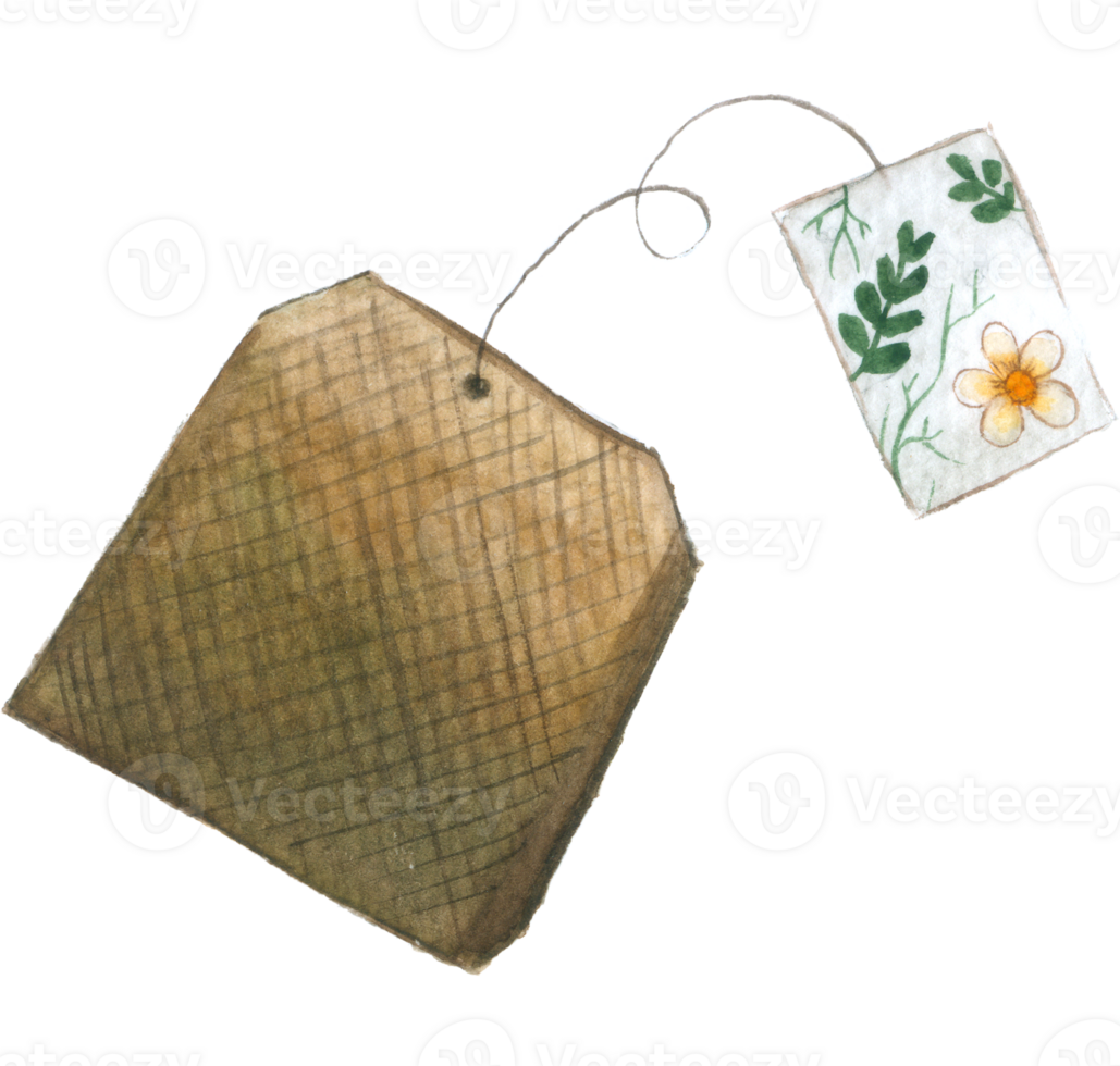 tea time watercolor png