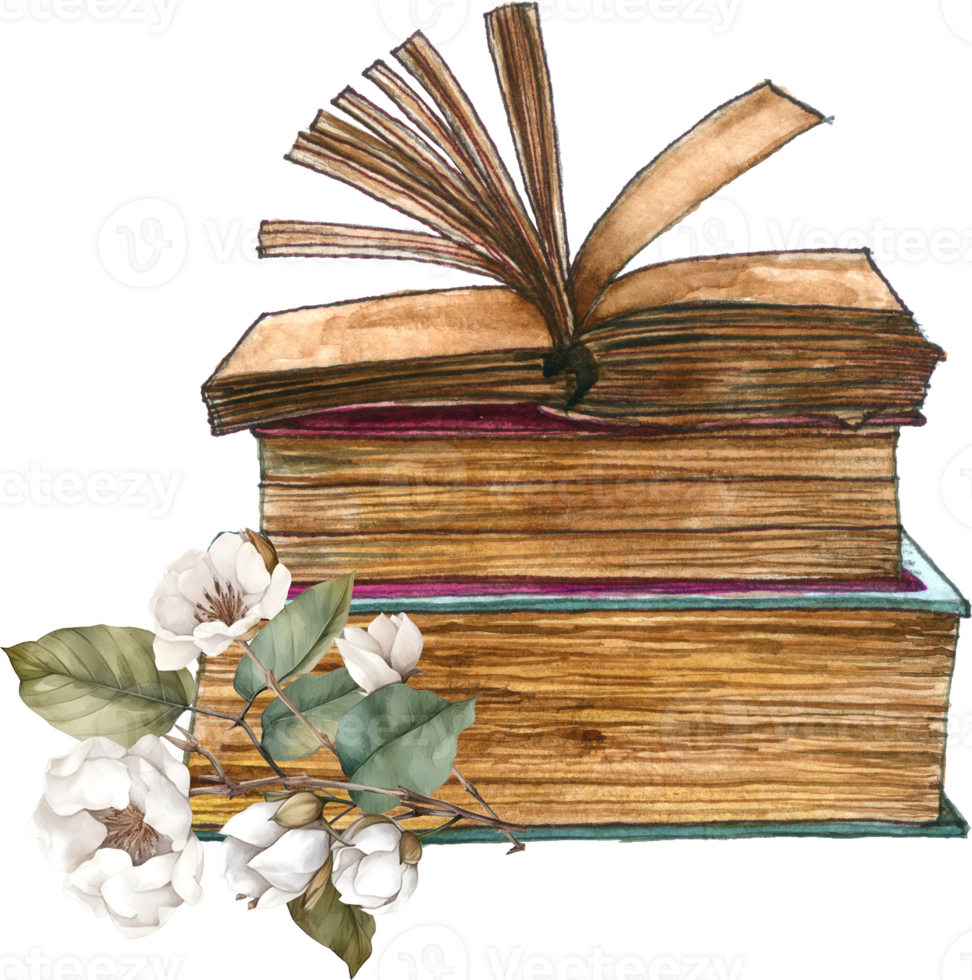 Vintage floral books watercolor png