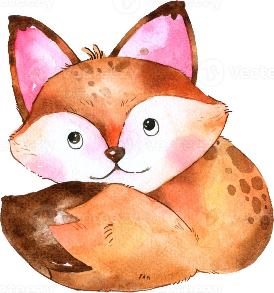 Forest Animal Cartoon Character Watercolor 24248740 PNG forest-animal-cartoon-character-watercolor-24248740-png