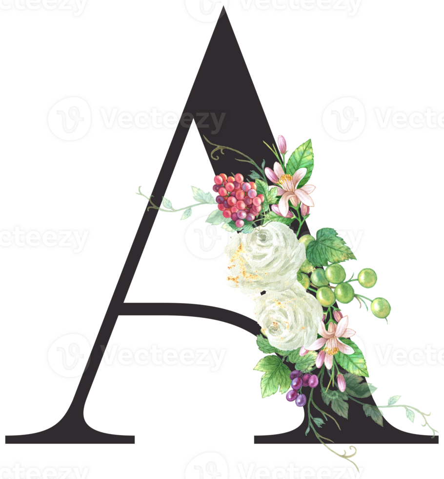 Alphabet and numbers Grape fruit watercolor, Wedding flower letter png