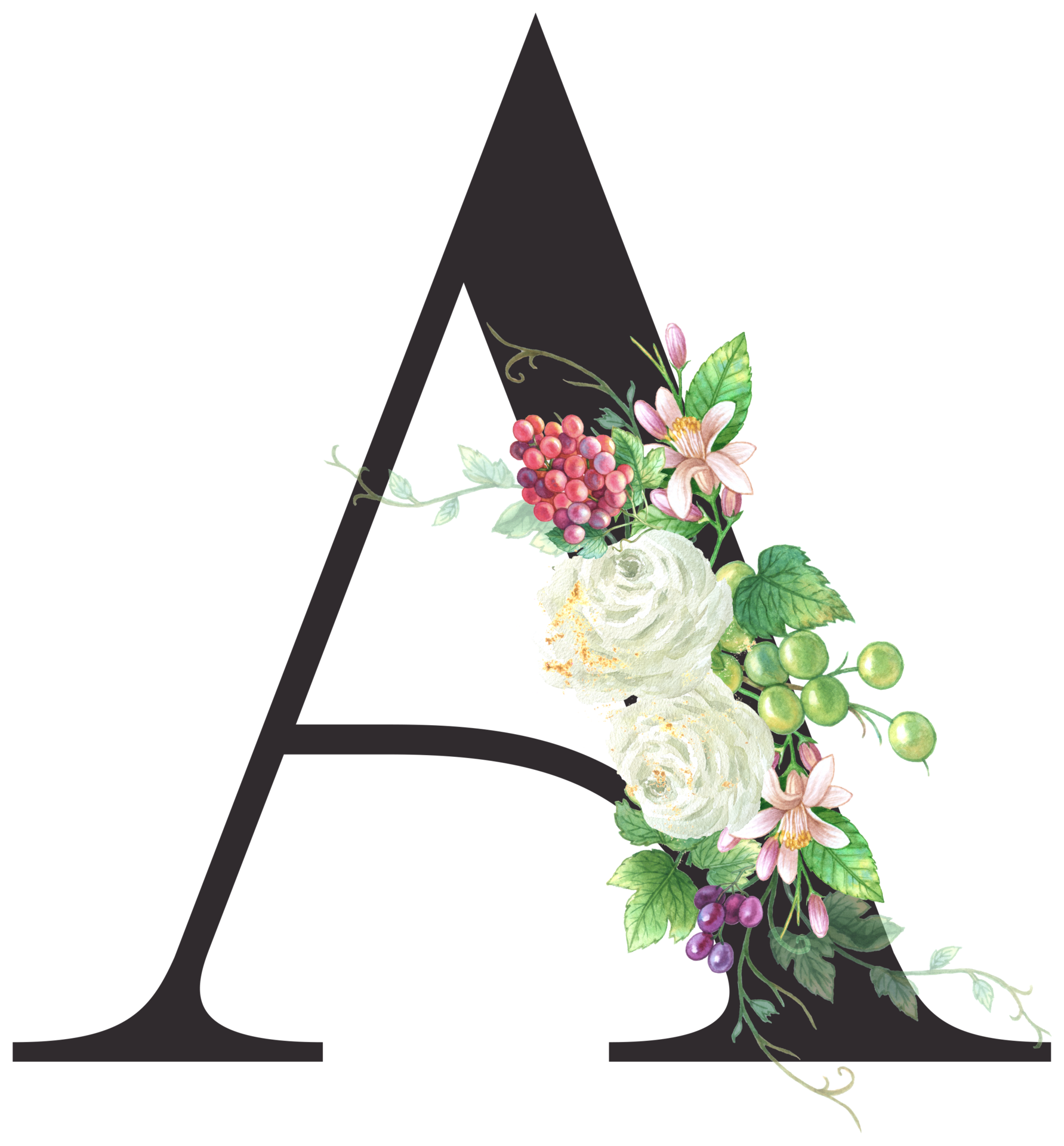 Alphabet and numbers Grape fruit watercolor, Wedding flower letter
