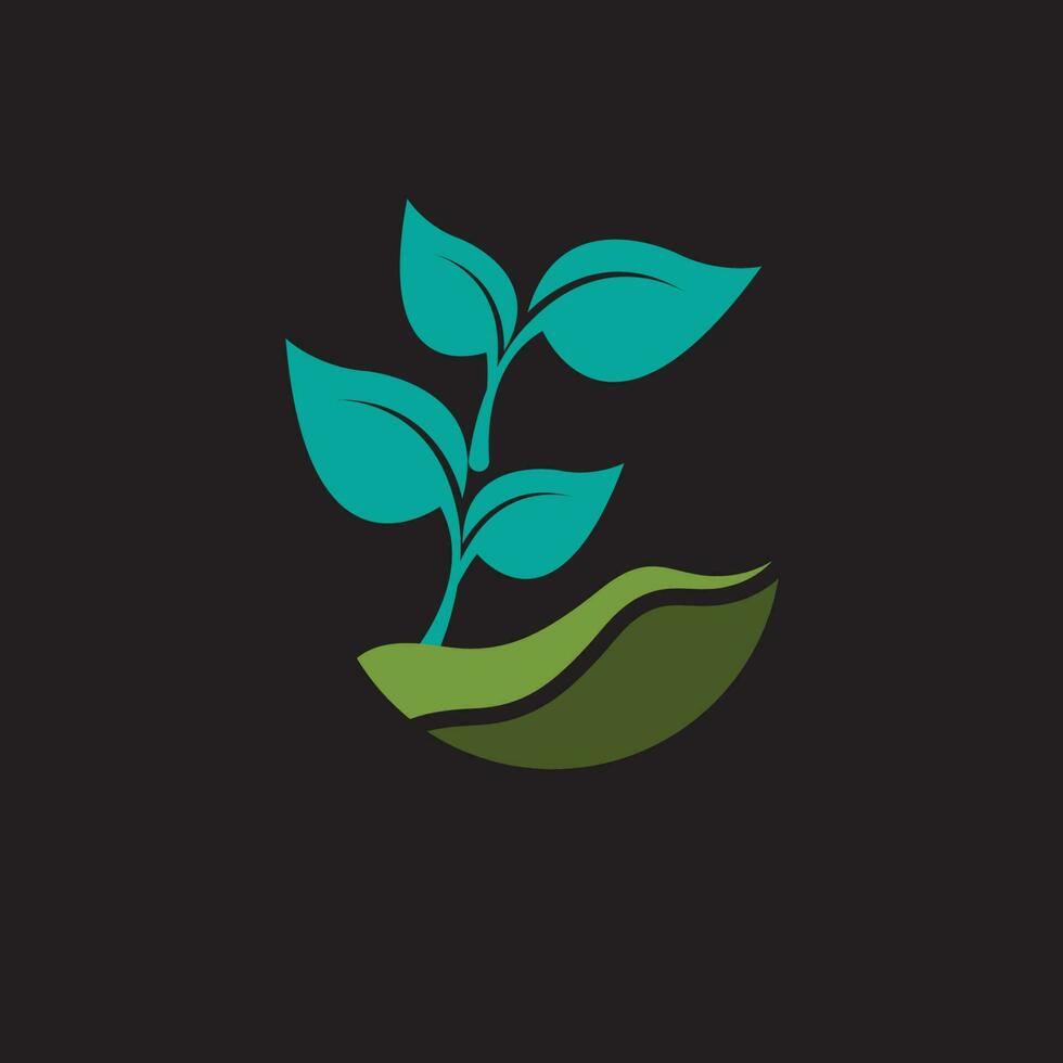 organic plant logo vector