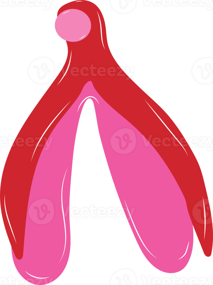 Reproductive system of the clitoris. Clitoral glans.Feminism theme and female genital organs. png