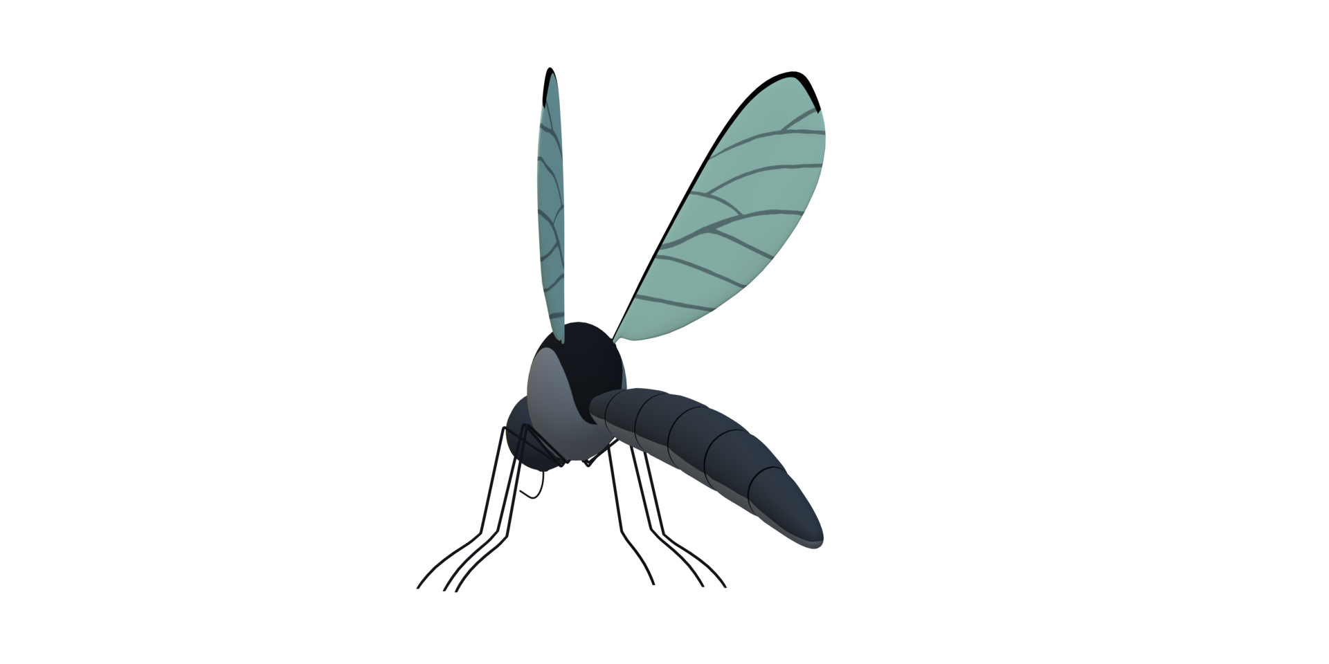 Mosquito isolated on a Transparent Background png