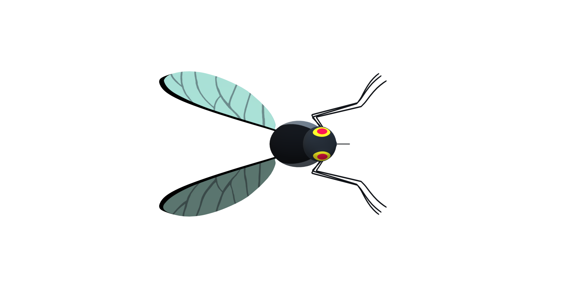 Mosquito isolated on a Transparent Background png