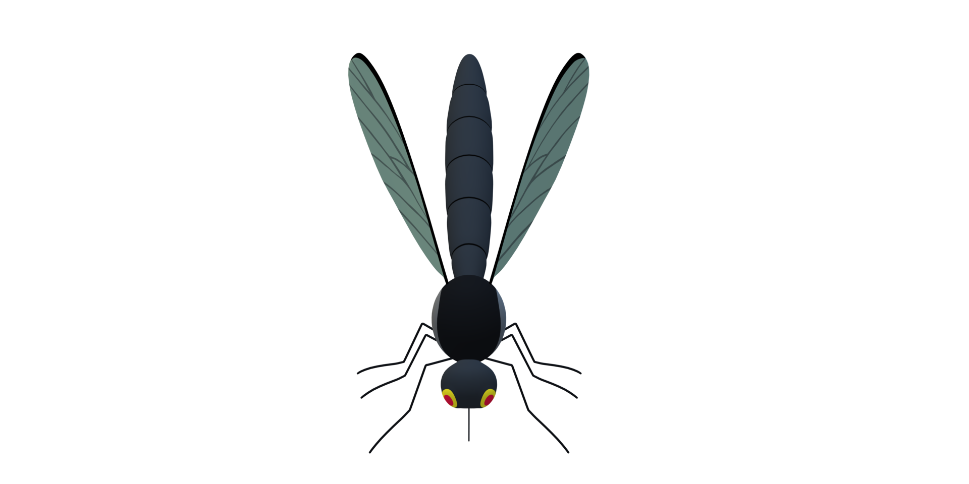 Mosquito isolated on a Transparent Background png