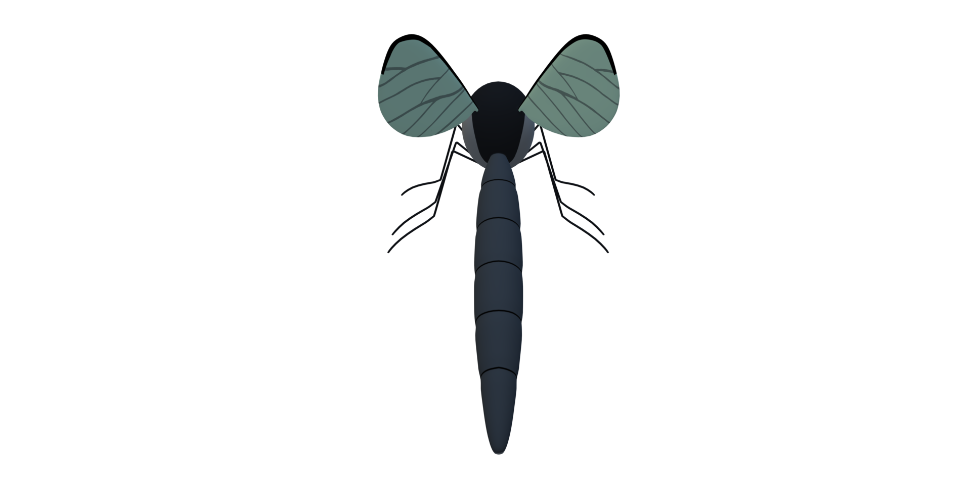 Mosquito isolated on a Transparent Background png