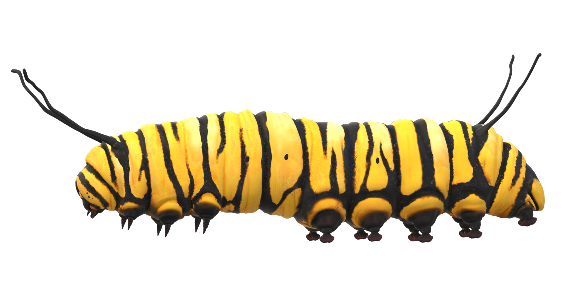 Caterpillar isolated on a Transparent Background png