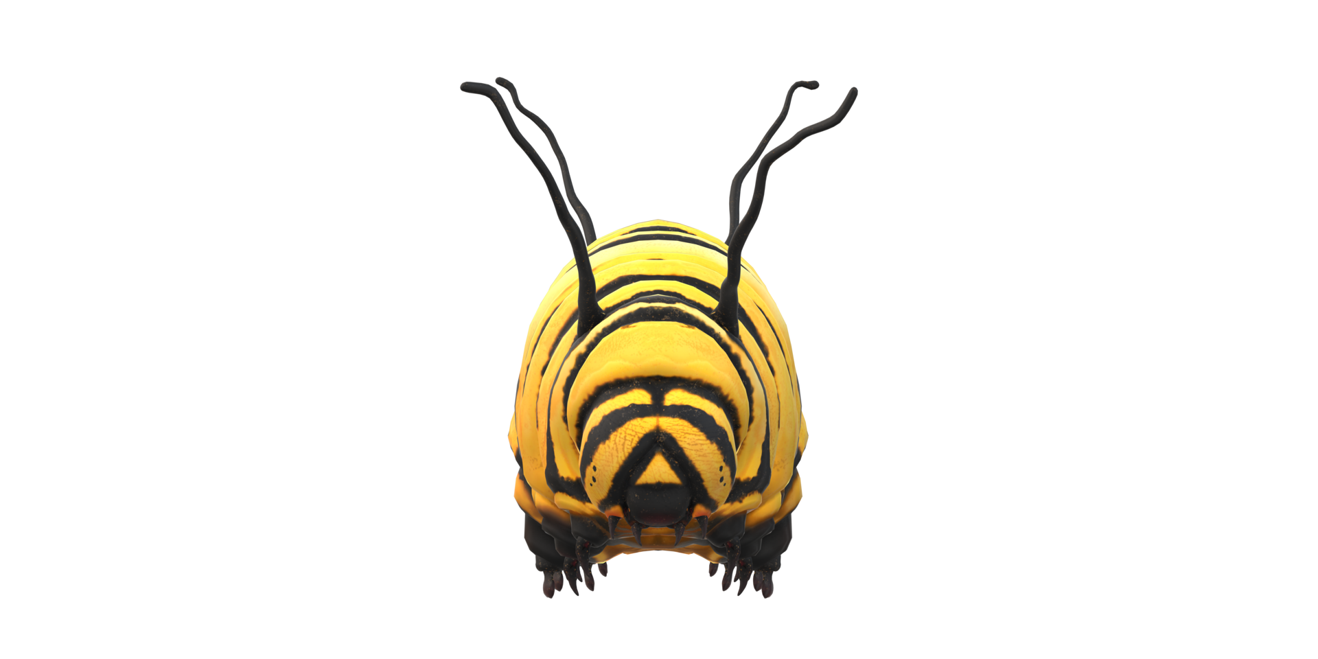 Caterpillar isolated on a Transparent Background png