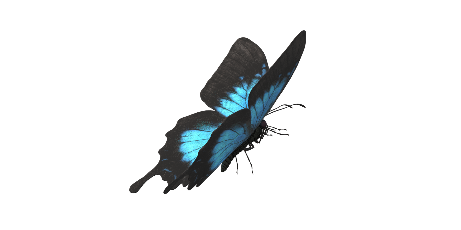 Schmetterling isoliert auf ein transparent Hintergrund png