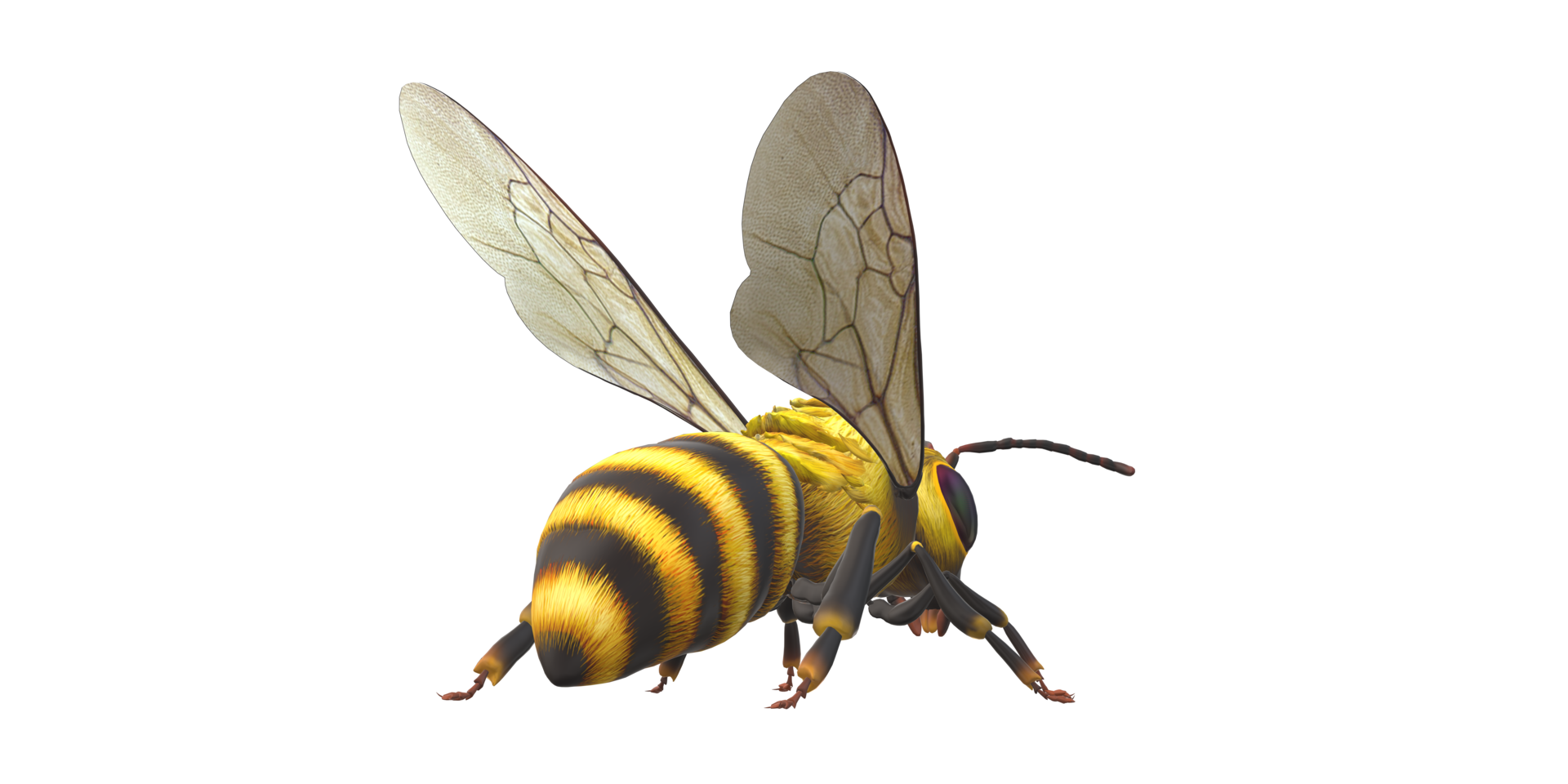ape isolato su un' trasparente sfondo png