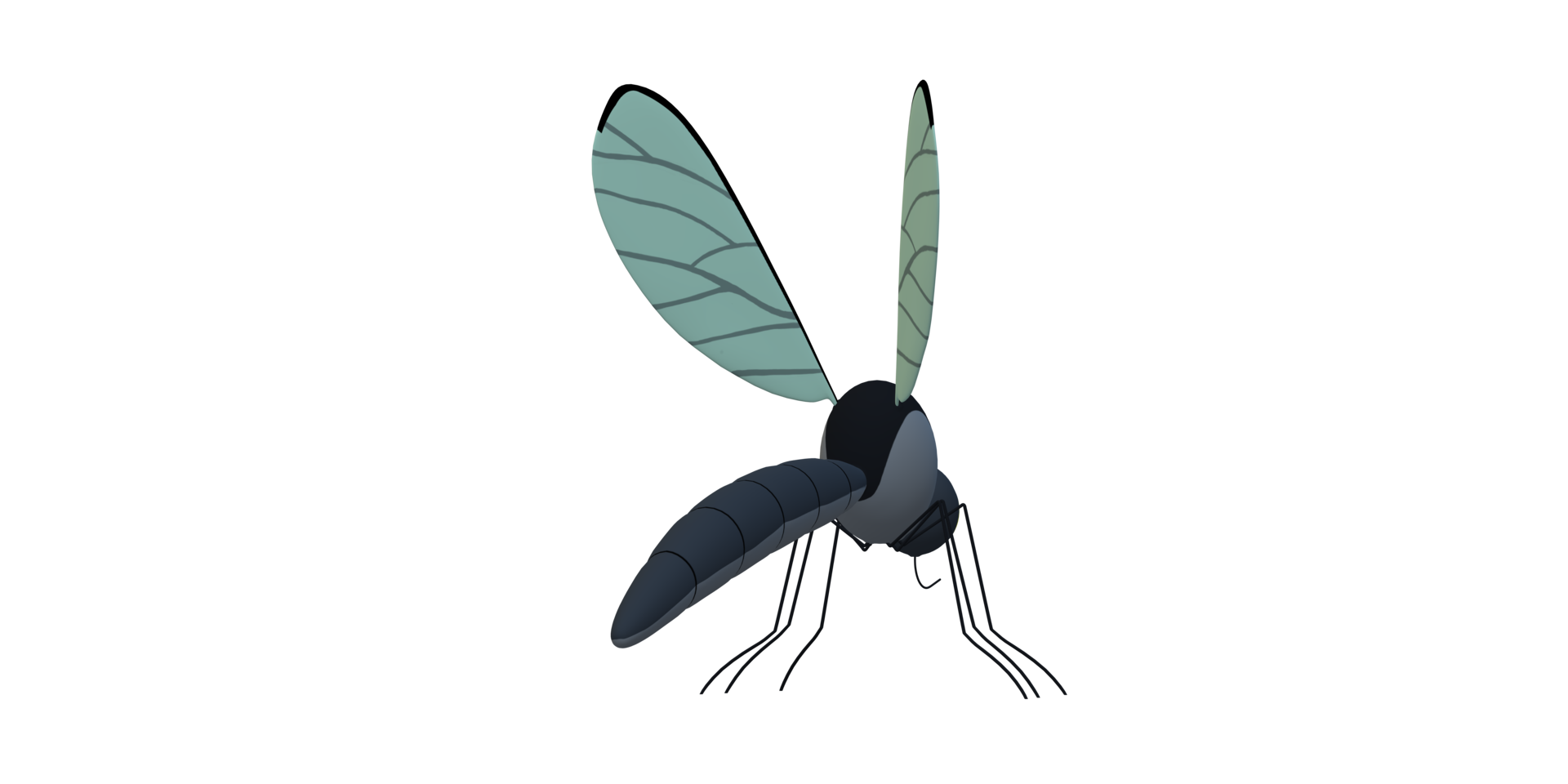 Mosquito isolated on a Transparent Background png