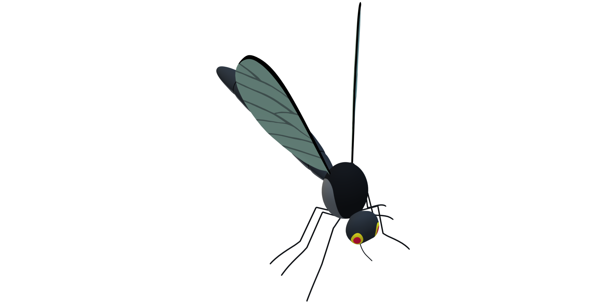 Mosquito isolated on a Transparent Background png