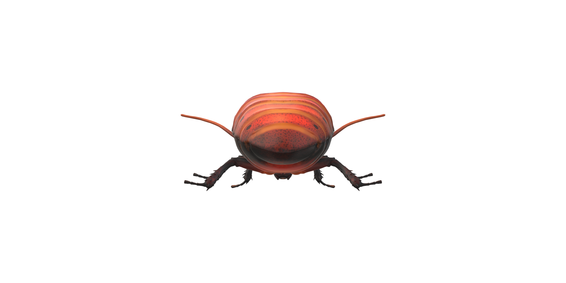 Oriental Cockroach isolated on a Transparent Background png