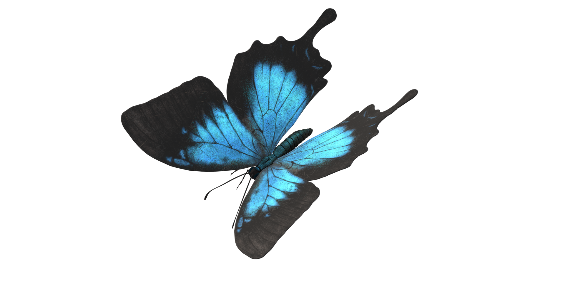 papillon isolé sur une transparent Contexte png