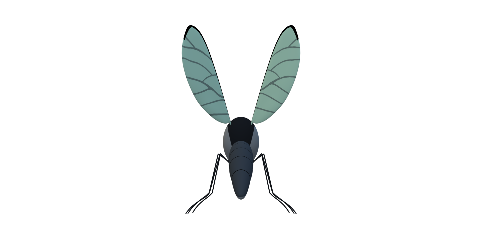 Mosquito isolated on a Transparent Background png