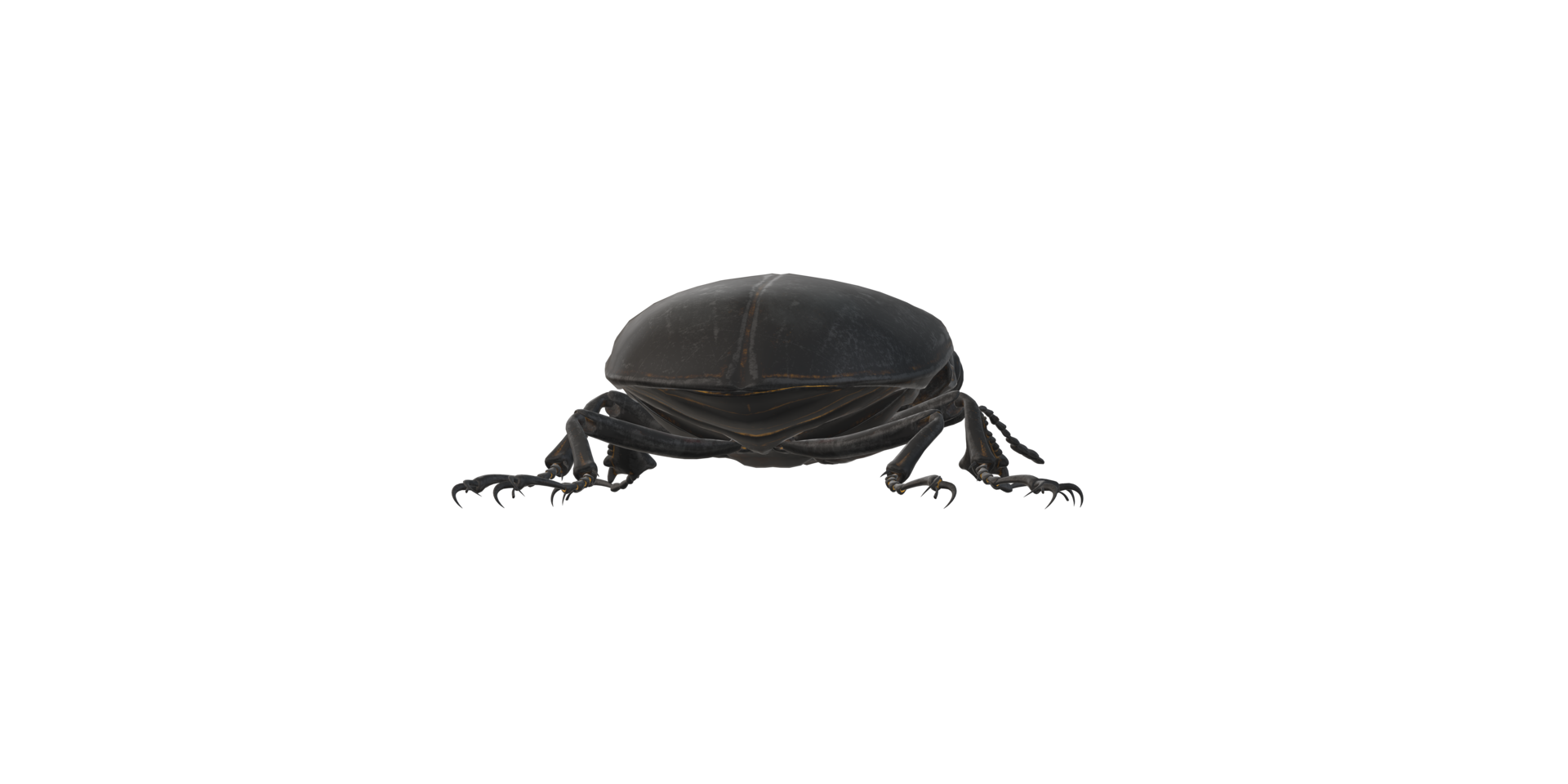 Stag Beetle isolated on a Transparent Background png