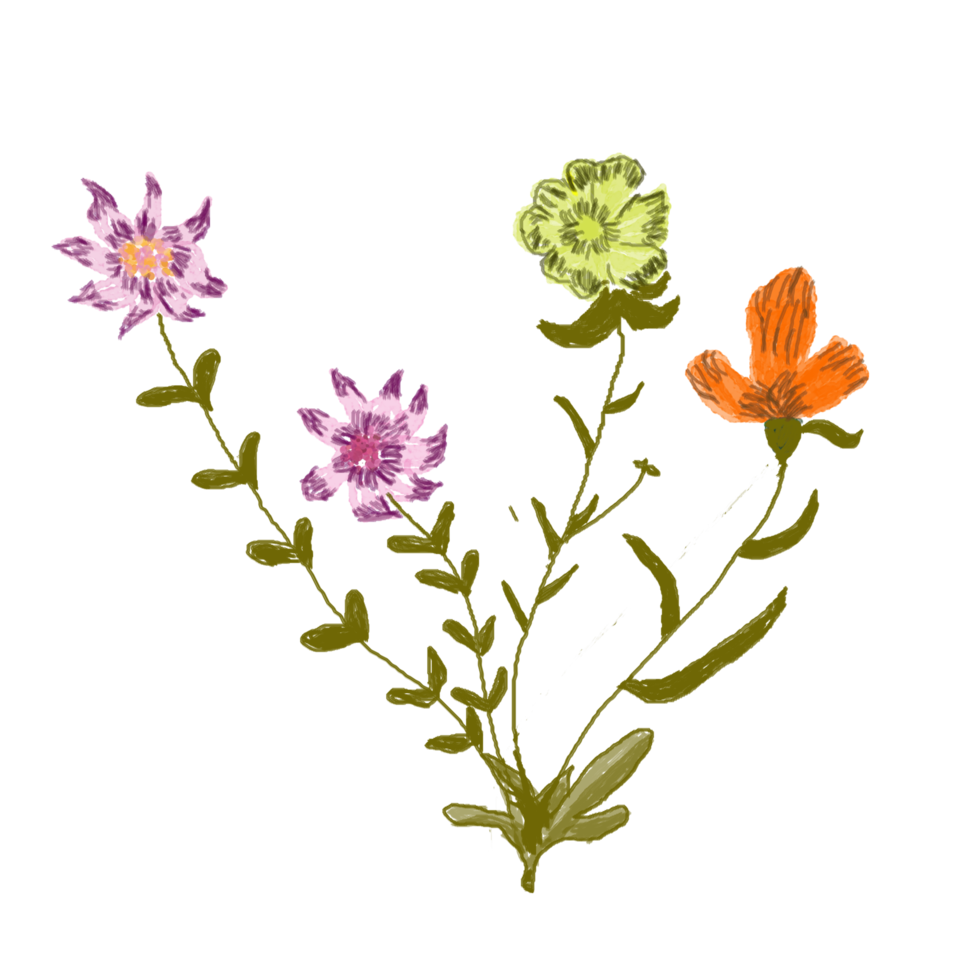 flower watercolor and leaf floral illustration png