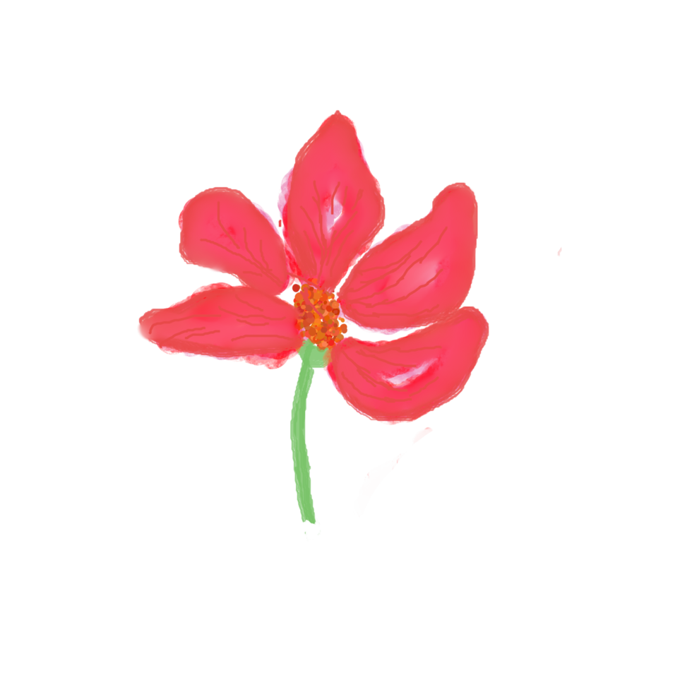 flower watercolor floral illustration png