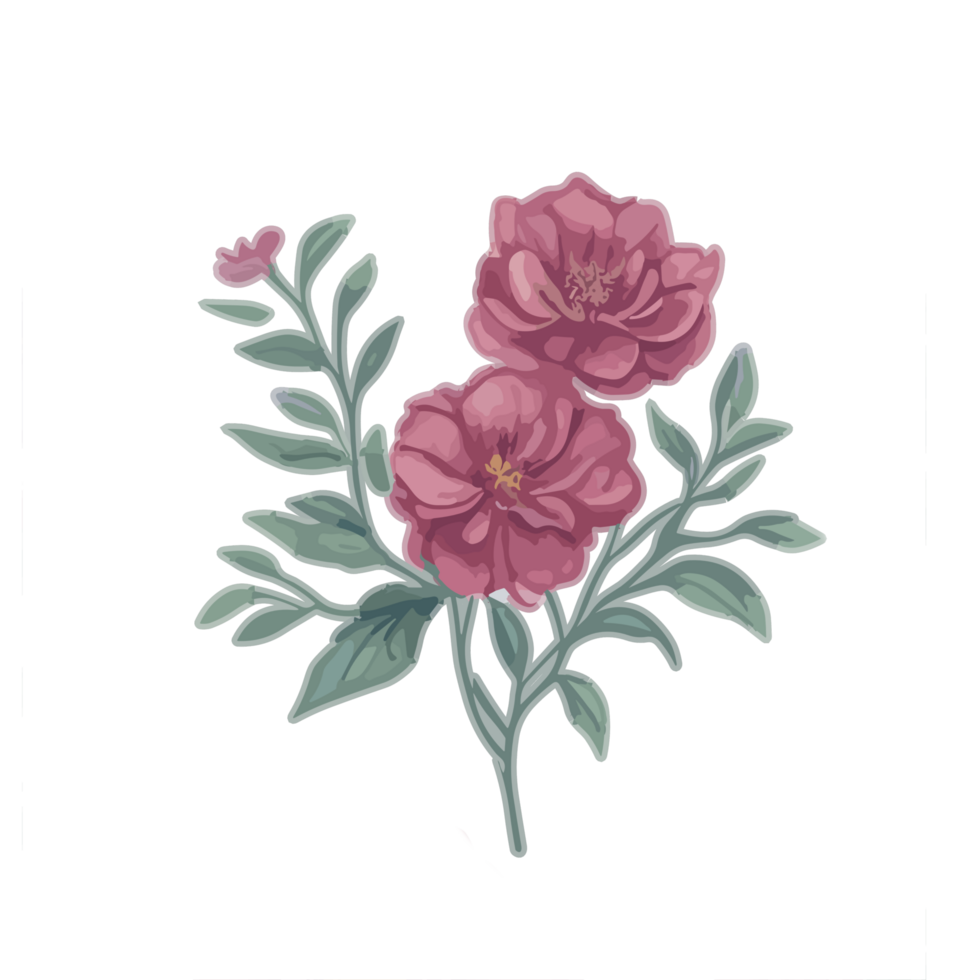 aquarelle rose fleur clipart, fleurs illustration, botanique illustration, floral éléments, rose fleurs, numérique fleur illustrations, floral éléments dans aquarelle moyen. png