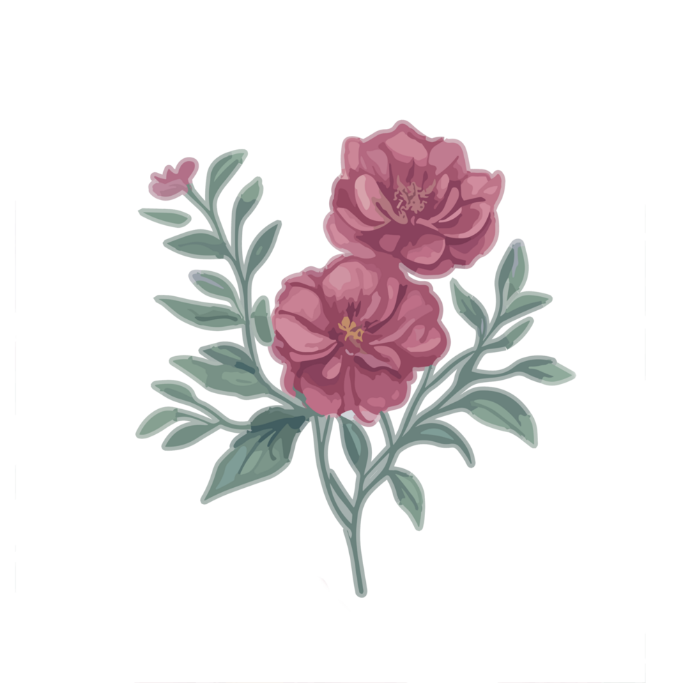 Watercolor Pink flower clipart, flowers illustration, Botanical illustration, floral elements, pink blossoms, digital flower illustrations, floral elements in watercolor medium. png
