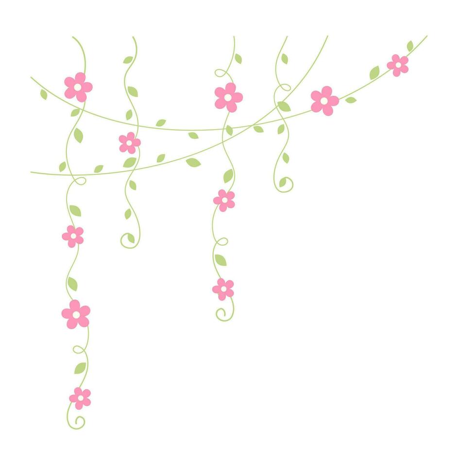 Hanging vines with pink flowers vector illustration. Simple minimal floral botanical vine curtain design elements for spring.