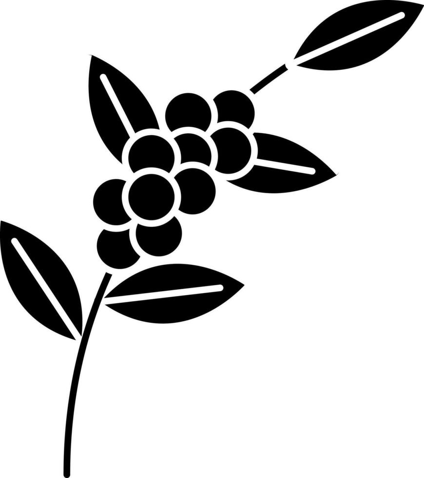 Coffee Branch Icon In Black and White Color. vector