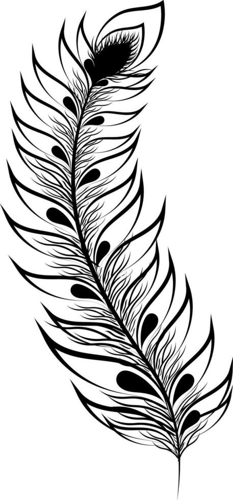 Boho style feather of peaccock. vector