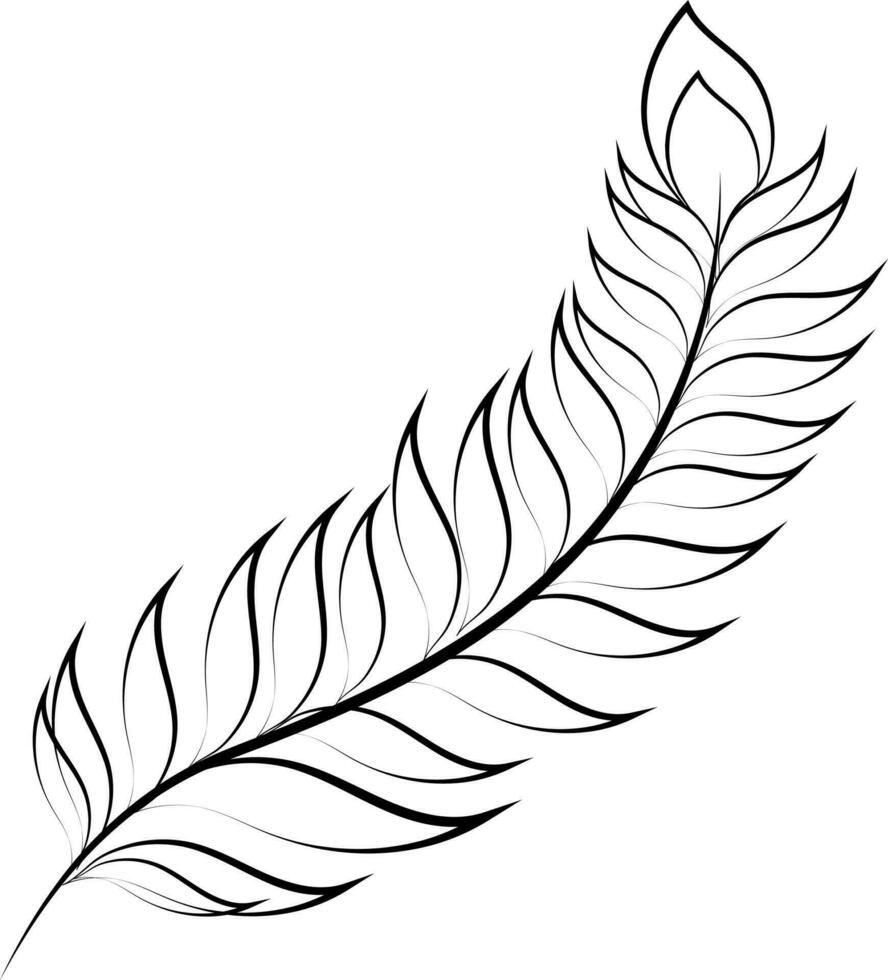 Boho style feather of peacock in Black and White color. vector