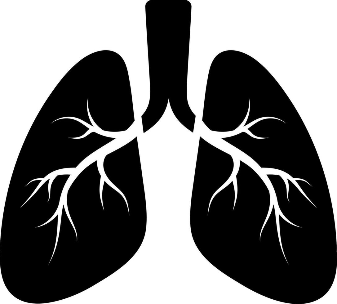 Flat style lungs icon or symbol. vector