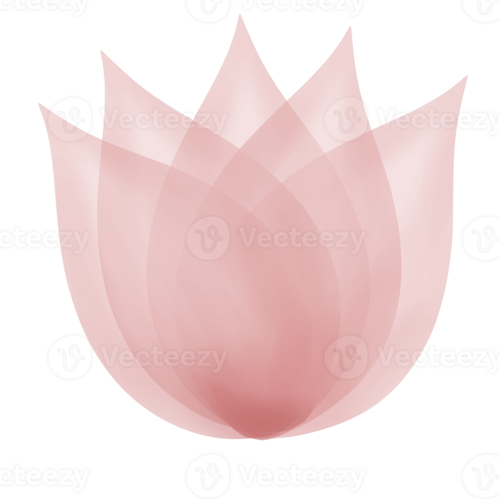 flower botanical illustration png