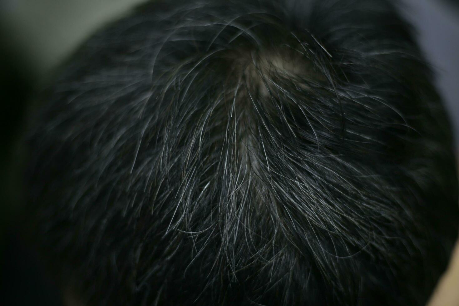 top view black hair people head with gray hair , grizzly , grizzled photo