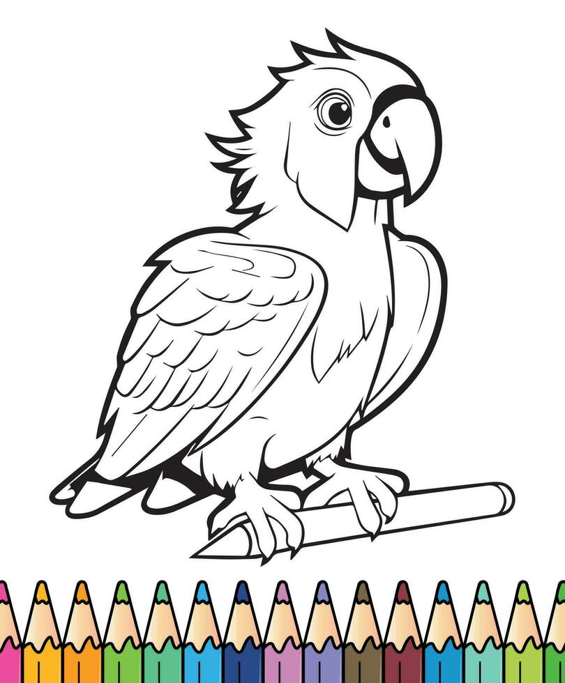 parrot coloring book 24257203 Vector Art at Vecteezy