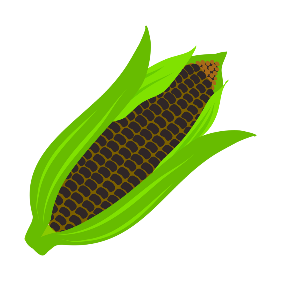 Appetizing sweet corn png