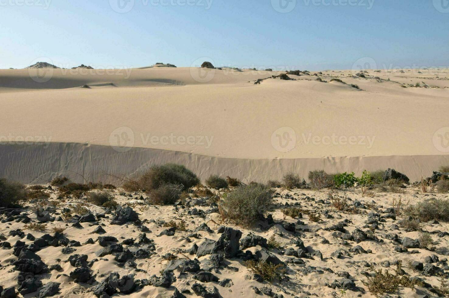 Scenic desert view photo