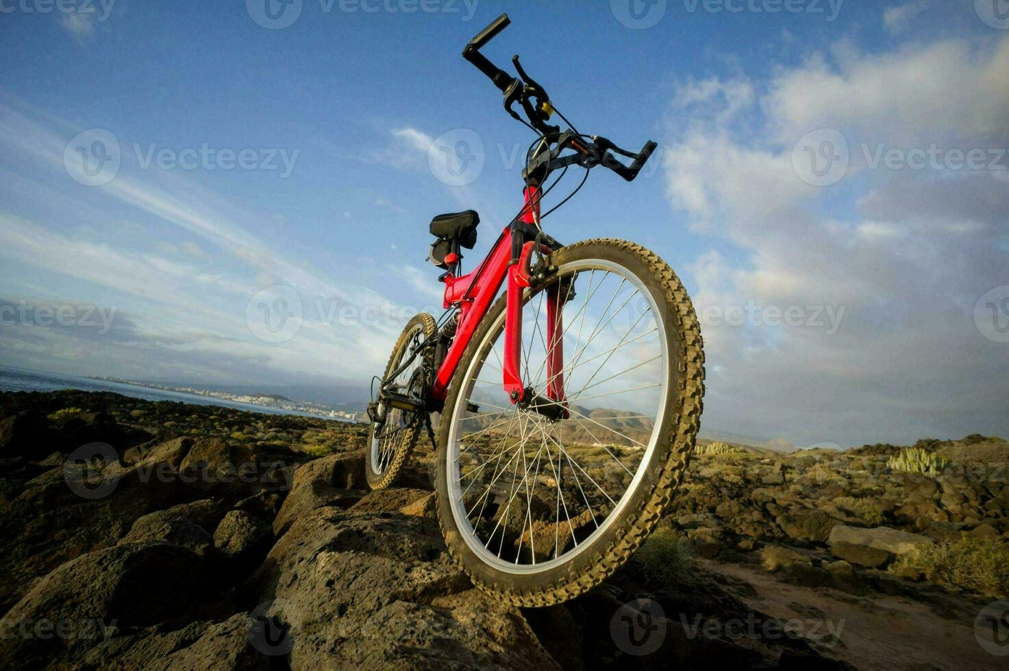 Scenic view with mountain bike photo