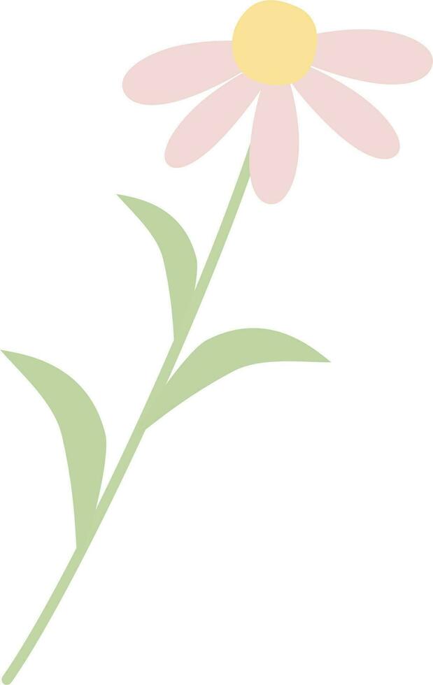 Daisy flower side view vector