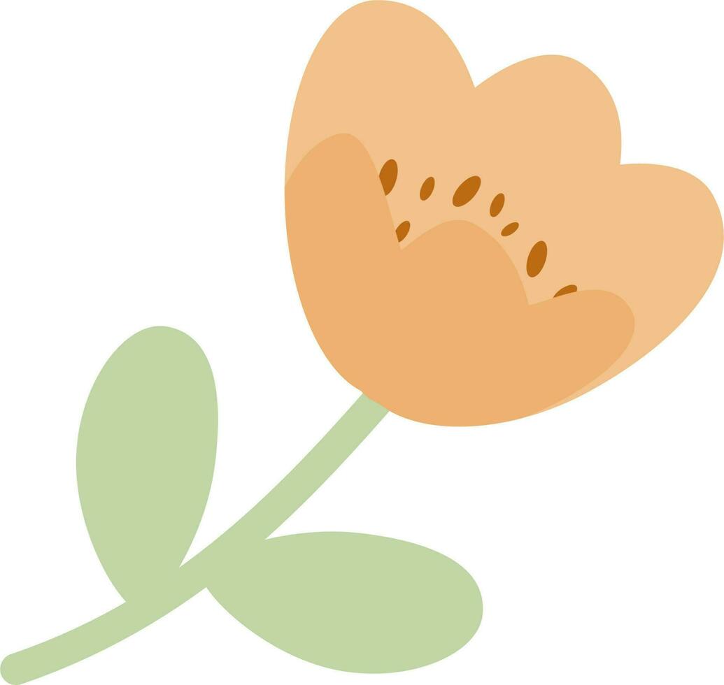 Flower with petals and leaves vector