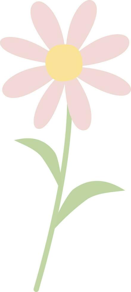 Daisy flowers in bloom vector