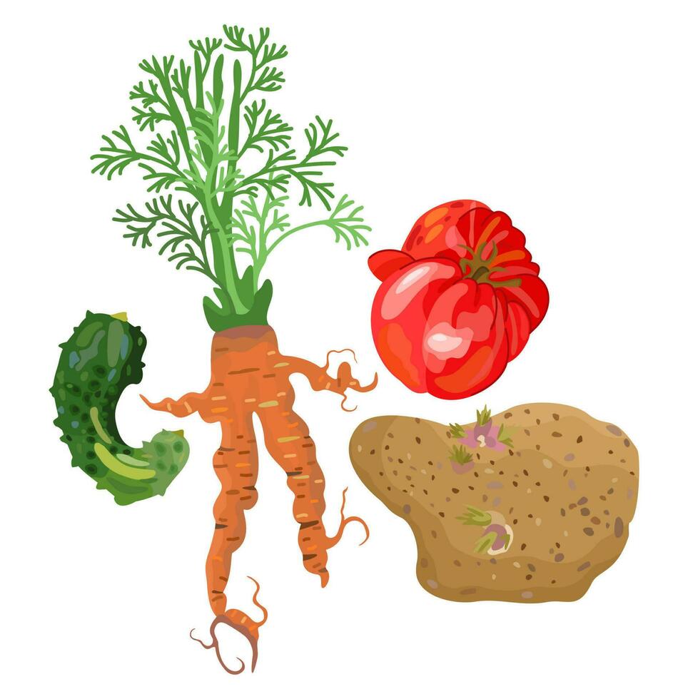 Ugly vegetables. Imperfect cucumber, carrot, tomato, potato. Vector isolated illustration. Ugly food. Realness concept.