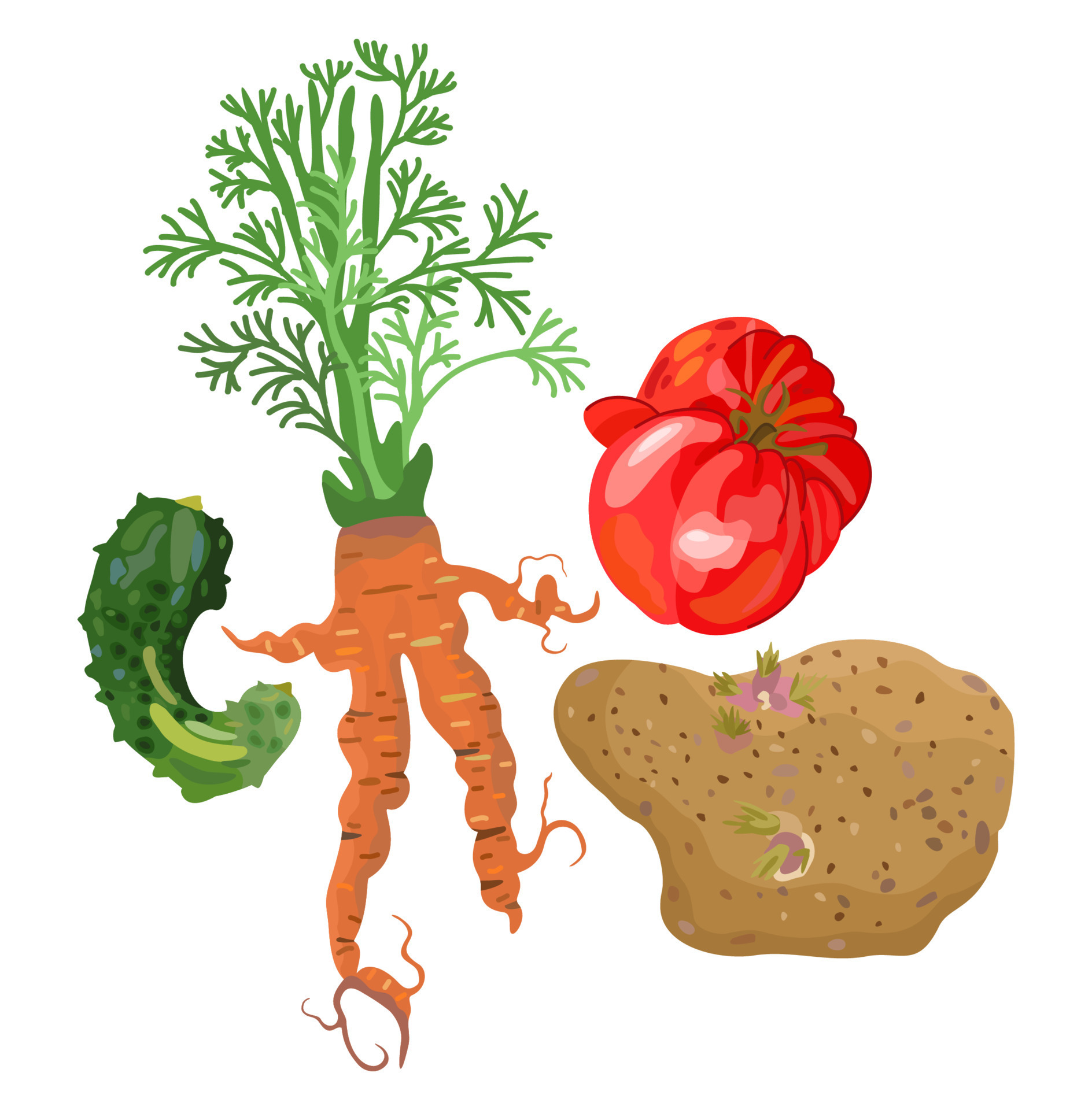 Ugly Vegetables Imperfect Cucumber Carrot Tomato Potato Vector ugly-vegetables-imperfect-cucumber-carrot-tomato-potato-vector