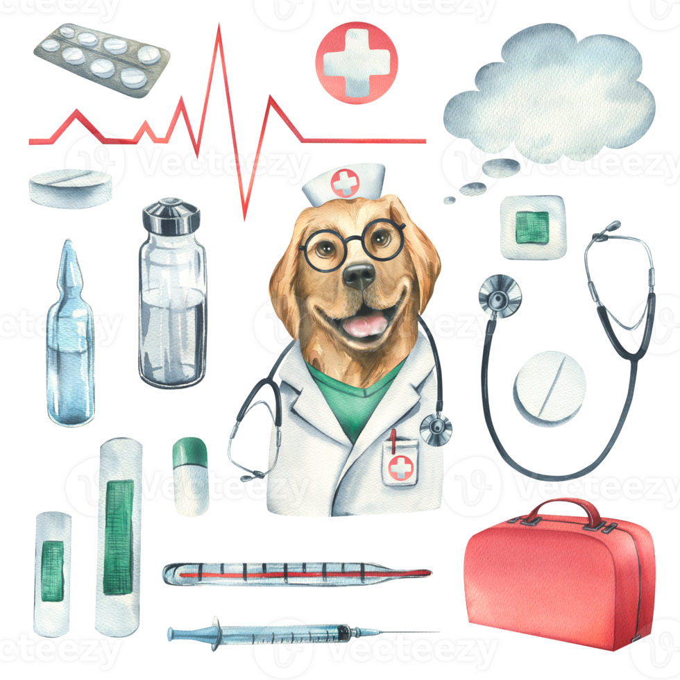 Dog doctor,  with a stethoscope, a suitcase and medical instruments, pills, injections. Watercolor illustration, hand drawn. png
