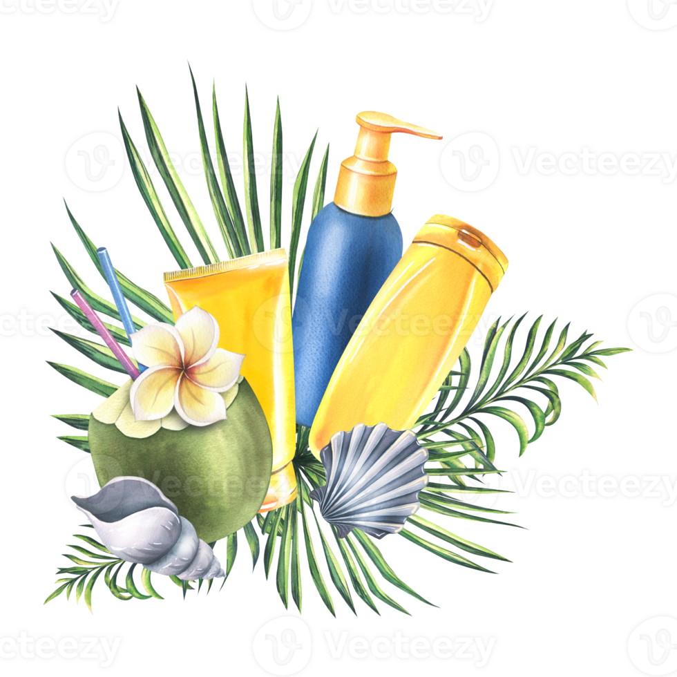 tubos de Dom crema con playa cóctel en Coco, conchas marinas y palma sucursales. acuarela ilustración mano dibujado. aislado composición png