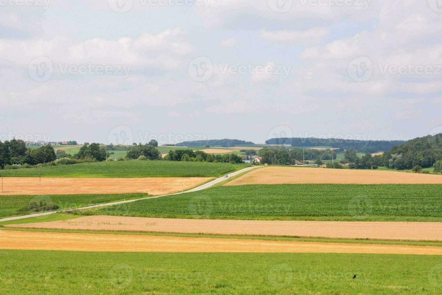 Scenic rural view photo