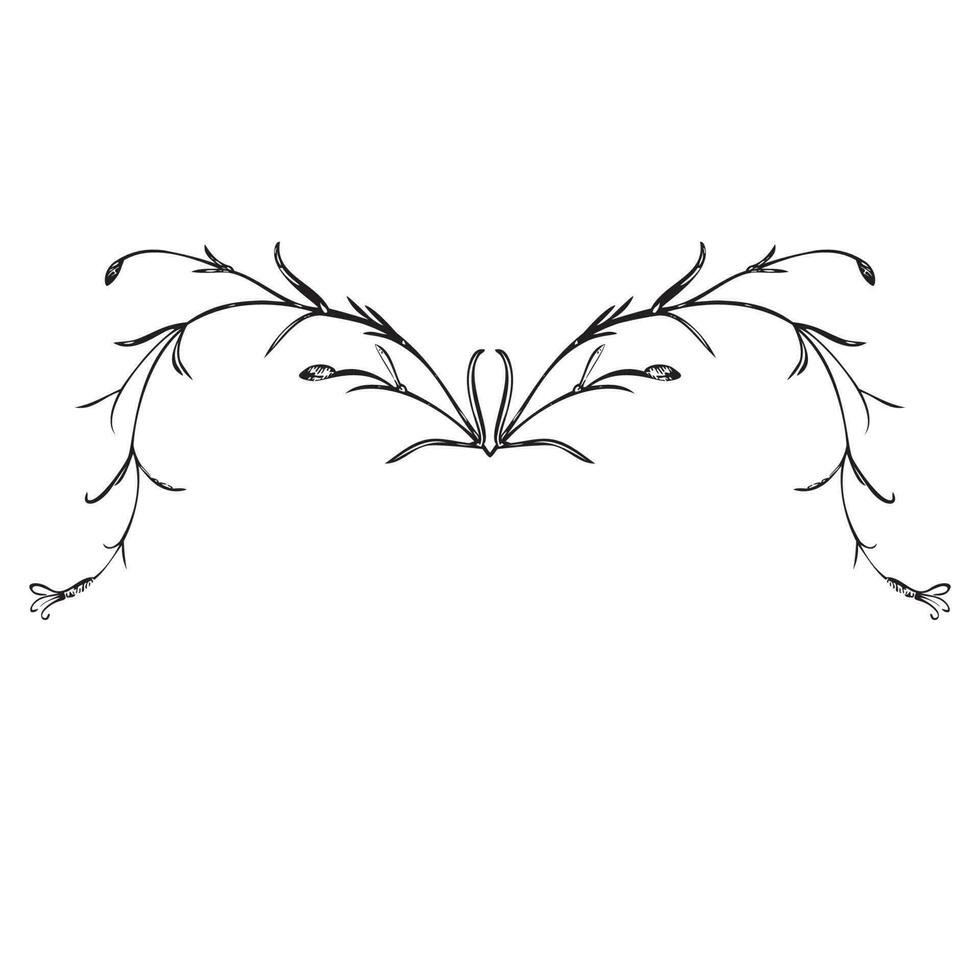 Botanical hand drawn plant, bouquet isolated on background. Spring plant flower vintage frame. Creative doodle linear style. Graphic design wedding invitation, card, poster, banner Vector illustration