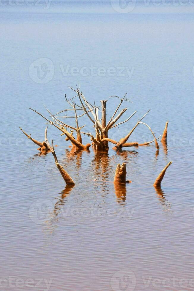 Copper red polluted lake mine photo