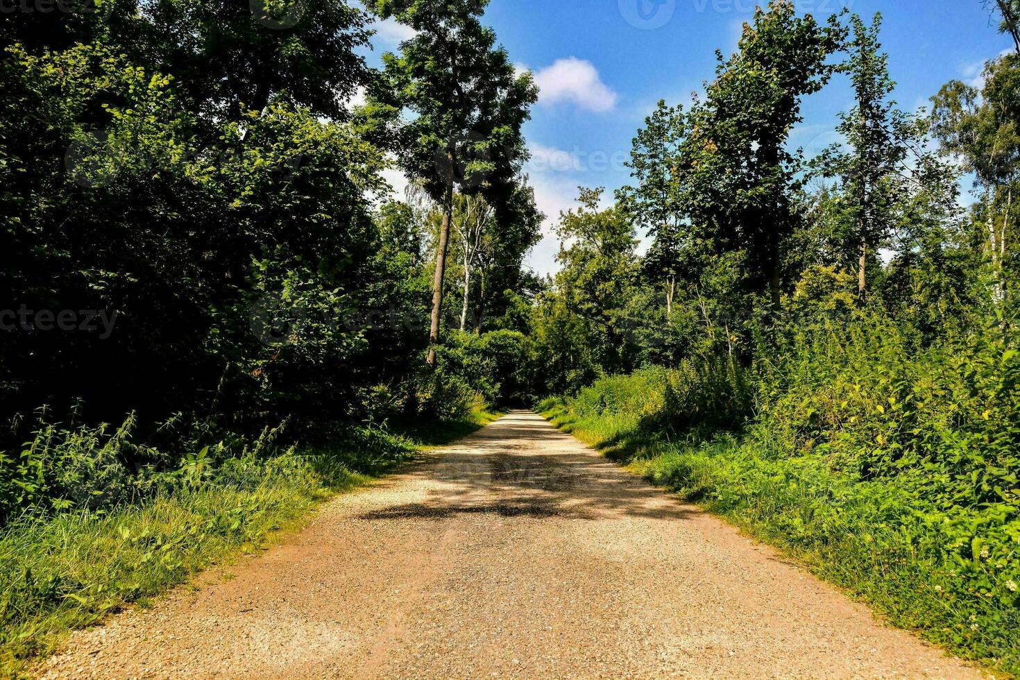 Scenic rural view photo